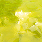TSSC product image | 10*18mm Oval | Fluoro canary | Full