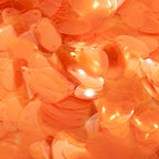 TSSC product image | 10*18mm Oval | Fluoro tangerine | Full