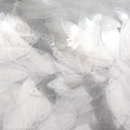TSSC product image | 10*30mm Pointed Oval | Crystal clear | Full